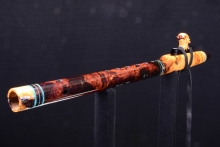 Yellow Cedar Burl Native American Flute, Minor, Mid G-4, #H38A